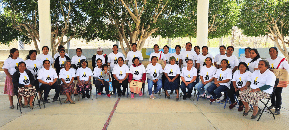 comunidad stutze