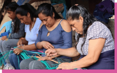 Raíces Firmes, Ideas Nuevas