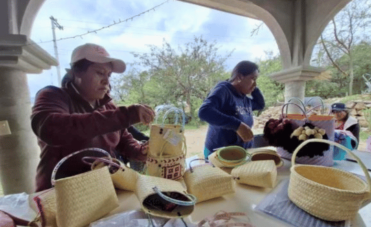 Artesanas elaborando canastas de palma en la Sierra Sur de Oaxaca - Stutzé Artesanas de la Sierra Sur de Oaxaca elaborando canastas y artesanías tradicionales de palma.