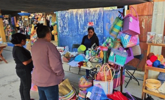 Bolsas y artesanías de palma tejidas a mano en Oaxaca - Stutzé Exposición y venta de bolsas de palma artesanales hechas por mujeres en Oaxaca.