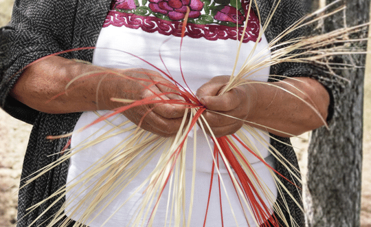 Mujer tejiendo palma Mujeres artesanas zapotecas tejiendo palma a mano en la Sierra Sur de Oaxaca — Stutzé