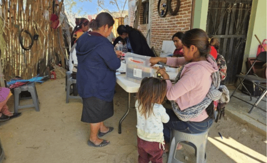Taller Comunitario de Artesanas de Palma en Oaxaca Grupo de artesanas de Oaxaca reunidas en un taller trabajando en el tejido artesanal de palma.