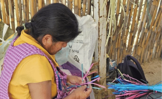 Artesana de Stutze Artesanal Oaxaca tejiendo palma Primer plano de una artesana de Oaxaca tejiendo fibras de palma natural para un bolso.