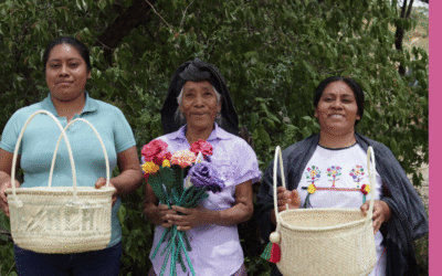 Artesanas de Río Mijangos: tejido de palma y trabajo colectivo en Oaxaca