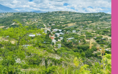 Sierra Sur de Oaxaca: territorio, cultura e identidad