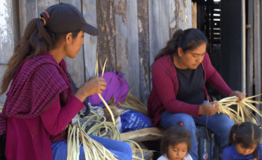 Artesanas oaxaqueñas sentadas trabajando en el tejido de palma para la elaboración de bolsas y accesorios